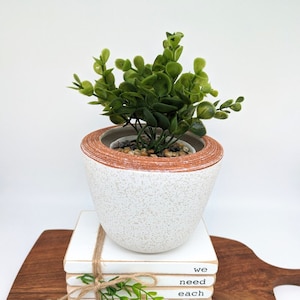 Terracotta White Ceramic Planter Pot, 12cm | Herb Planter | Succulent Planter | Pots for Plants