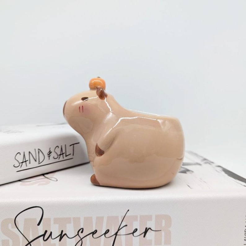 Capibara keramische plantenbak | Capibara-cadeaus | Dierenplanter | Vetplantenbak afbeelding 6