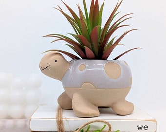 Sandy White Turtle Succulent Planter Pot | Pot | Planter | Turtle Planter | Turtle Gifts | Pots for Plants | Succulent Planter