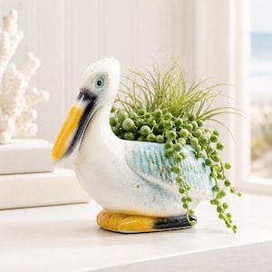 Pelican Bird Ceramic Planter | Pot for Succulents, Herbs, Plants, Flowers