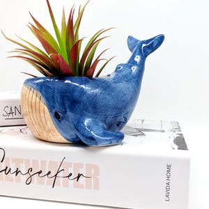 May include: A blue ceramic whale planter with a faux succulent plant. The whale has a light tan belly and a dark blue body. The plant has green and red leaves. The planter is sitting on a white book with the word "Sunseeker" on the cover.