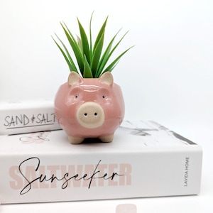 May include: A pink ceramic pig planter with a green succulent plant inside. The planter has a glossy finish and is shaped like a pig with a snout, eyes, and ears. The planter is sitting on a white book with the text "Saltwater" printed on the cover.