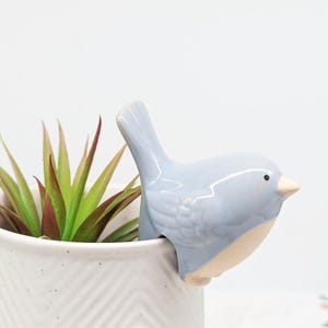 May include: A pale blue ceramic bird ornament perched on the rim of a white ceramic pot. The bird has a light beige beak and a small black eye. The pot contains a green and red succulent plant.