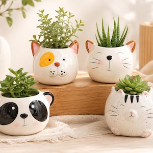 Ceramic Animal Succulent Planter - Cat, Dog, Panda, Tiger | Desk Pot