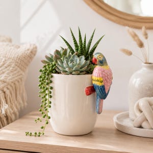 Macaw Bird Ceramic Flower Pot | Planter for Plants, Herbs, Succulents | Garden Gifts