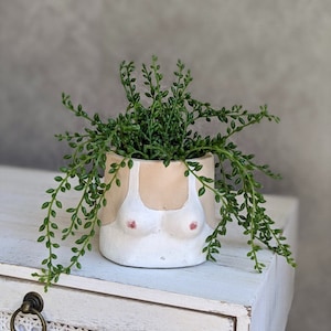 Boobies Cement Pot Planter