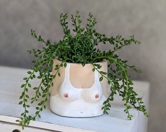 ブービーズ セメントポットプランター