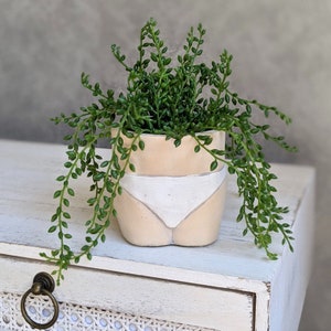 Bums Cement Pot Planter | With Drainage Hole | Knicker Planter | Bikini Planter | Cute Planter | Succulent Pot| Booty Pot | Butt Planter