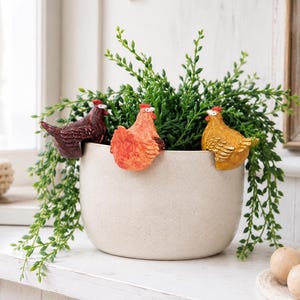 Colourful Chicken Pot Sitter Hanger - Set of 3