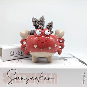 May include: A red crab-shaped ceramic planter with white polka dots, holding a small plant with gray leaves. The planter has a smiling face and tan claws. The planter is sitting on a book with the word "Sunseeker" on the cover.