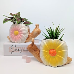 Pink Yellow Flower Snail Planter Pot, 12cm