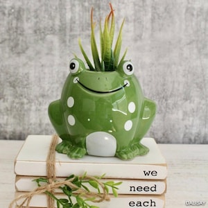 May include: A green ceramic frog planter with white polka dots and a smiling face, holding a faux succulent. The planter sits atop a stack of white books tied with twine, with the words "we need each" visible.