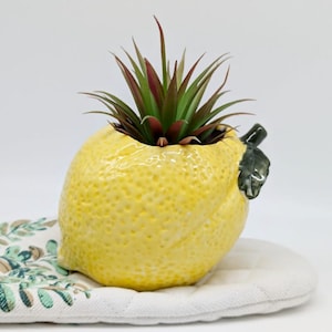 Zesty Lemon Leaf Planter Pot | Succulent Pot | Kitchen Decor | Home Gifts