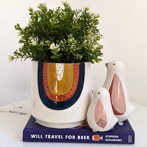 May include: A white ceramic planter with a rainbow design, featuring a yellow, orange, red, and blue arc. The planter is filled with a green leafy plant and is sitting on a book titled "Will Travel for Beer". Two small white ceramic bird figurines with pink accents are in front of the planter.