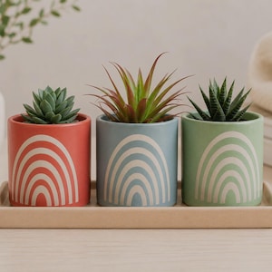 May include: Three ceramic plant pots in red, blue, and green, each with a white rainbow design. The pots contain succulents and sit on a rectangular tray. A white vase and a blanket are in the background.