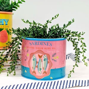 Peut inclure: Un pot de fleurs en céramique rose et bleu avec le mot "Sardines" et un dessin de trois poissons. Le pot est rempli de plantes vertes retombantes. Le pot est décoré des mots "Extra Virgin Olive Oil" et "Rosemary & Love."