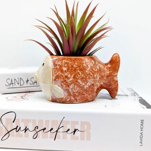 Könnte beinhalten: Ein fischförmiger Keramikübertopf mit einer texturierten, gesprenkelten orange-weißen Glasur, der ein glattes, cremefarbenes Gesicht und eine Flosse aufweist. Der Übertopf enthält eine stachelige Sukkulente mit spitzen grünen und rotbraunen Blättern.