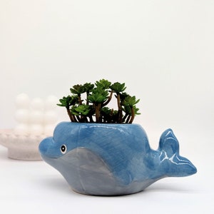 Peut inclure: Un pot de fleurs en céramique bleu en forme de dauphin avec une plante succulente verte à l'intérieur. Le pot a une finition brillante et un design de dauphin réaliste.