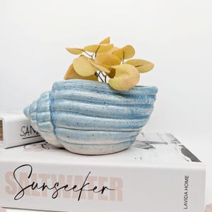 May include: A blue ceramic seashell planter with a light blue glaze and a white interior. The planter is filled with a small yellow plant. The planter is sitting on a stack of books with the text "Saltseeker" on the top book.