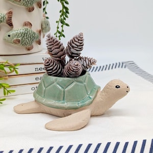 Może przedstawiać: Ceramiczna doniczka w kształcie żółwia w kolorze jasnozielonym i beżowym. Skorupa żółwia jest jasnozielona, a głowa i kończyny są beżowe. Doniczka zawiera kilka brązowych szyszek. W tle biały ceramiczny wazon zdobiony rybami.
