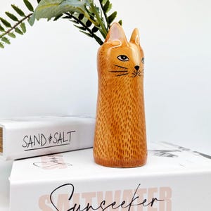 May include: An orange ceramic cat-shaped vase with a textured finish. The vase features a cat face design with black whiskers and eyes. Greenery is placed inside the vase. The vase is placed on top of two white books.