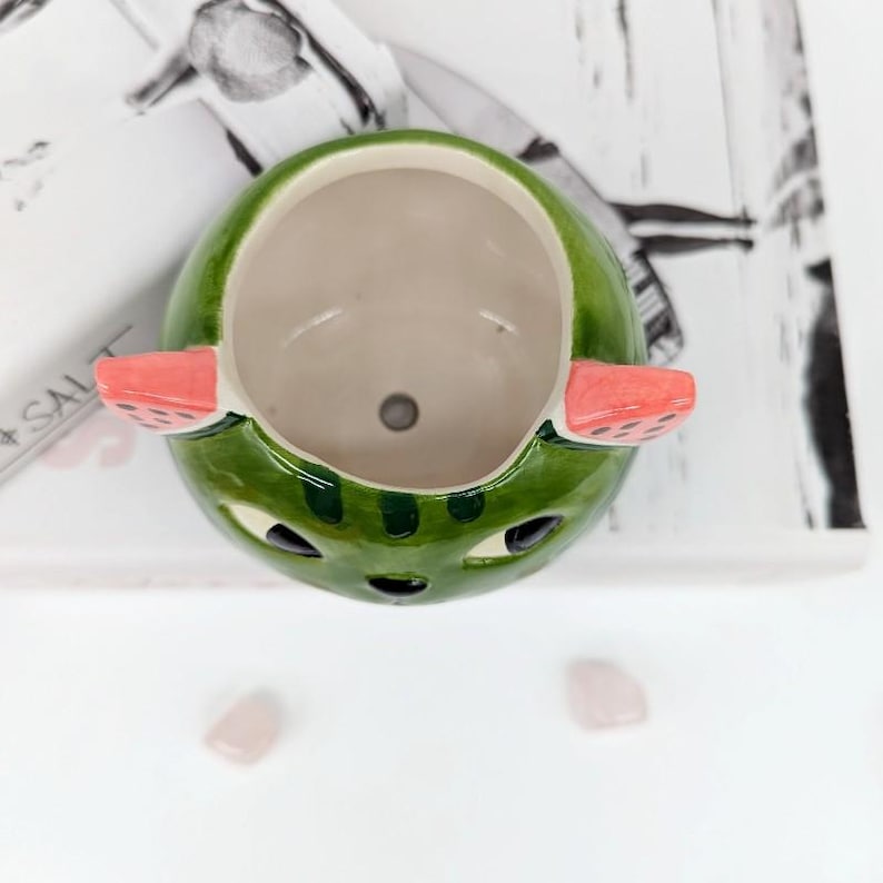 Maceta de cerámica con forma de gato y sandía: divertida maceta para suculentas imagen 9