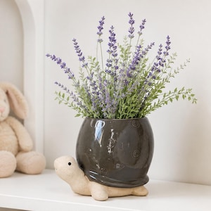 Maceta/maceta de cerámica Grey Turtle para plantas, suculentas y flores.