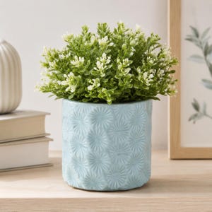 May include: A small potted plant with dense green foliage and tiny white flowers, housed in a cylindrical light blue ceramic planter. The planter features a repeating embossed sunburst or floral pattern across its entire exterior surface.