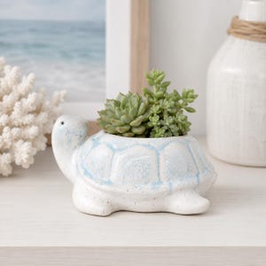Può includere: Un vaso in ceramica bianca a forma di tartaruga con un motivo a guscio smaltato azzurro. Il vaso contiene un gruppo di piccole piante succulente verdi. La tartaruga presenta una finitura liscia e maculata e una testa arrotondata.