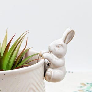 May include: A white ceramic bunny figure clings to the side of a speckled, off-white planter. The planter holds a green and red succulent plant. The bunny has tan accents on its ears and paws. The planter has a chevron pattern.