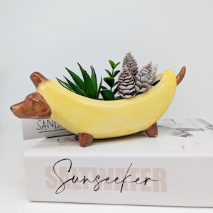 May include: A yellow ceramic planter shaped like a banana with brown dachshund ears and legs. The planter is filled with small green succulents and white pine cones.