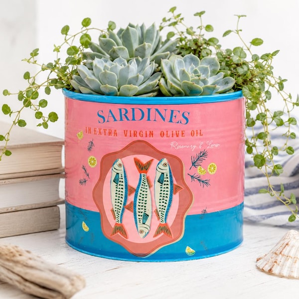 Pink Blue Sardines Can Planter | Pot for Herbs, Plants, Succulents
