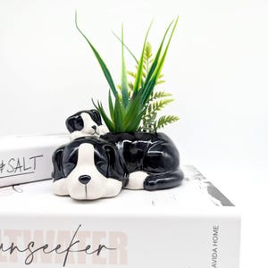 以下が含まれることがあります： 緑の植物が入った、子犬が上に乗った白黒のセラミック犬のプランター。 プランターは白い表面にあります。 左側には「#SALT」の文字が見えます。