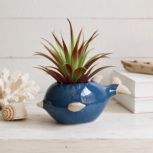 Blue Ceramic Fish Succulent Planter | Coastal Decor