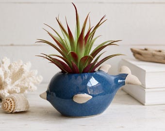 Blue Ceramic Fish Succulent Planter | Coastal Decor