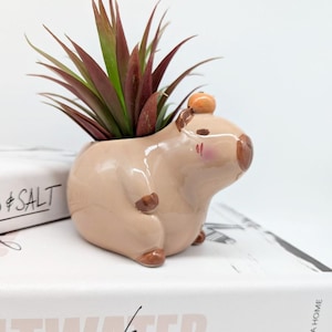 Capybara Keramik Blumentopf | Capybara Geschenke | Tier Pflanzer | Sukkulenten Pflanzer