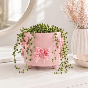 May include: A cylindrical pink ceramic planter featuring three raised, sculpted bows on its exterior. The planter stands on three small feet and contains a trailing string of pearls plant with numerous small, round, green succulent beads.
