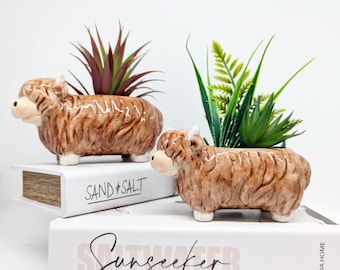 Ceramic Highland Cow Succulent Planter | Animal Gifts