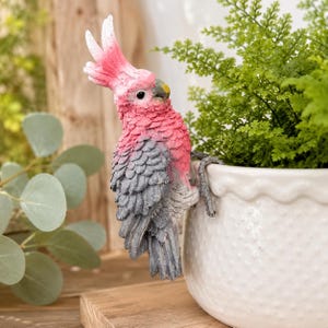 May include: A decorative cockatoo figurine featuring a vibrant pink crest and head with grey wings and tail feathers. The bird is sculpted in a perched position, designed to hang securely over the edge of a white, textured ceramic planter pot.