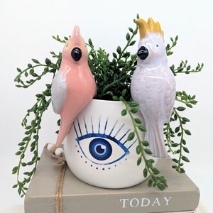 May include: A decorative white ceramic planter with a blue eye design, holding greenery and two ceramic bird figurines. One bird is pink with white accents, the other is white with a yellow crest. The planter sits on a stack of books.