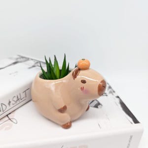 Capibara keramische plantenbak | Capibara-cadeaus | Dierenplanter | Vetplantenbak afbeelding 3