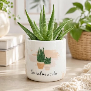 May include: A white ceramic cylindrical planter containing a green aloe vera plant. The planter features a peach-colored brushstroke design with an illustration of two potted plants and the black text, You had me at aloe.