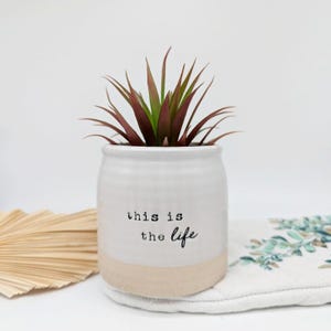 May include: White ceramic planter with a light brown rim. The planter has the text "this is the life" written on it. A small succulent plant with green and red leaves is in the planter.