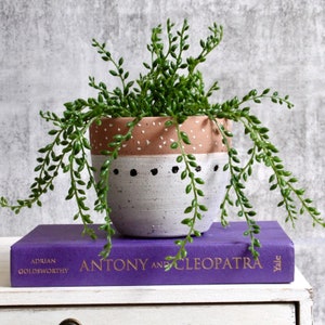 May include: A small potted plant with trailing green leaves in a white and brown ceramic planter with black polka dots. The planter is sitting on top of a purple book titled "Antony and Cleopatra" by Adrian Goldsworthy.