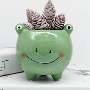 May include: Green ceramic frog planter with a smiling face and blush on its cheeks. The planter has small legs and is filled with white pine cones.