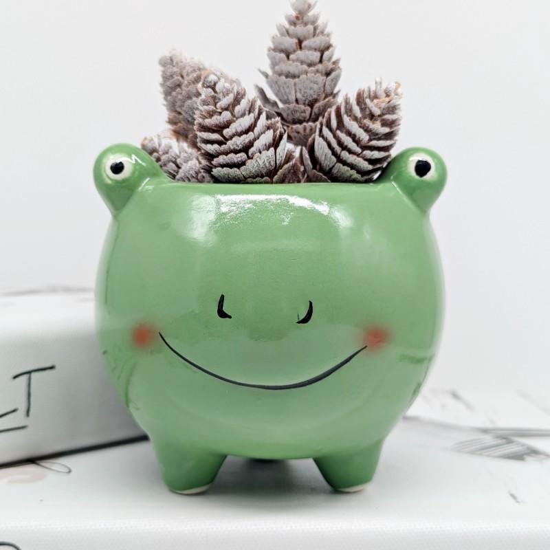 Frecher grüner Frosch Pflanztopf | Frosch Geschenke | Sukkulenten Pflanzer