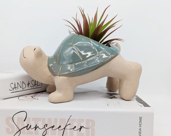 Large Ceramic Turtle Succulent Planter Pot Hanger