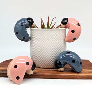May include: Four ceramic ladybug figurines, two pink and two blue, with black spots, are arranged around a white ceramic planter with a chevron pattern. The planter has a small green plant inside.