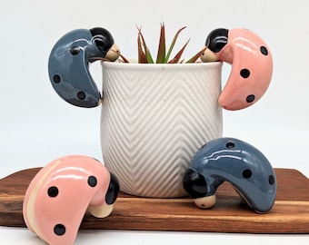 Ladybug Beetle Pot Sitter Hanger - Pink - Blue | Beetle Gifts | Beetle Pot Climber | Plant Buddy | Pot Hanger