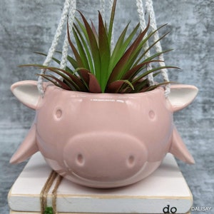 Pink Hanging Pig Ceramic Pot Planter, 16cm